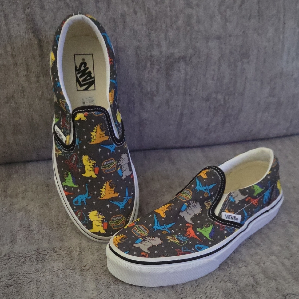 Vans Multicolor Dinosaur Slip-On Sneakers
